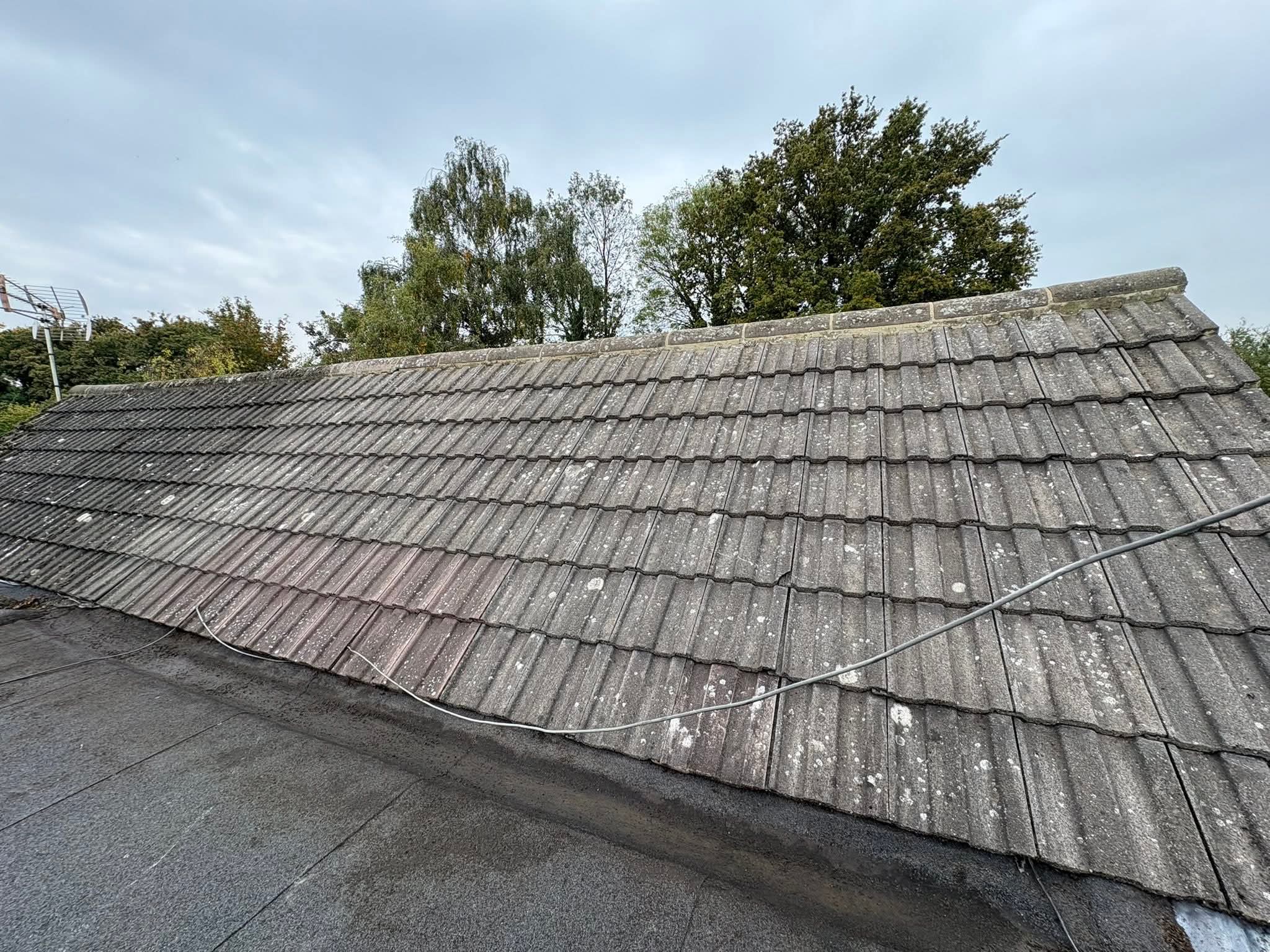 Pitched roof with moss and lichen before treatment