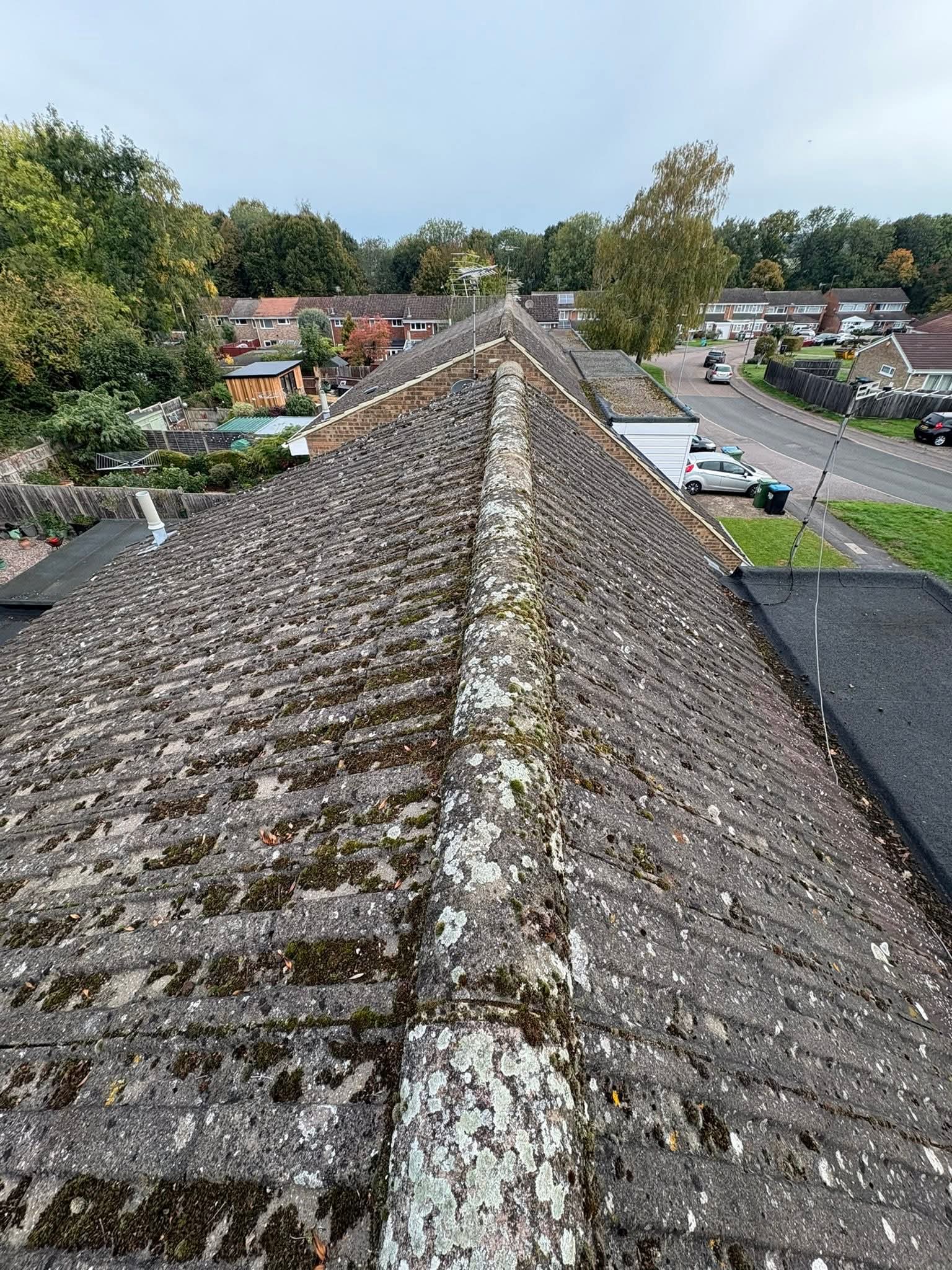 Tile roof surface needing controlled moss removal