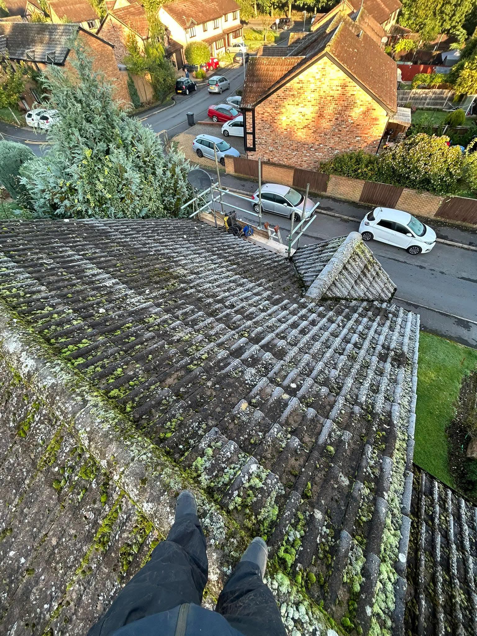 Wide view of roof cleaning project